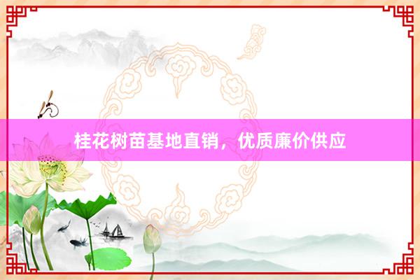 桂花树苗基地直销，优质廉价供应