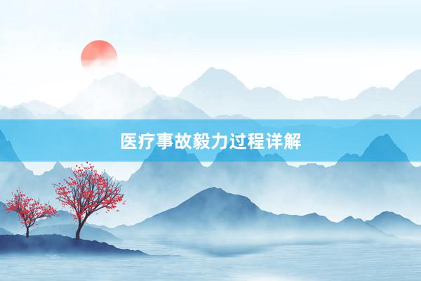 医疗事故毅力过程详解