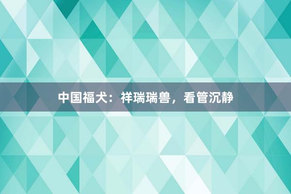 中国福犬：祥瑞瑞兽，看管沉静