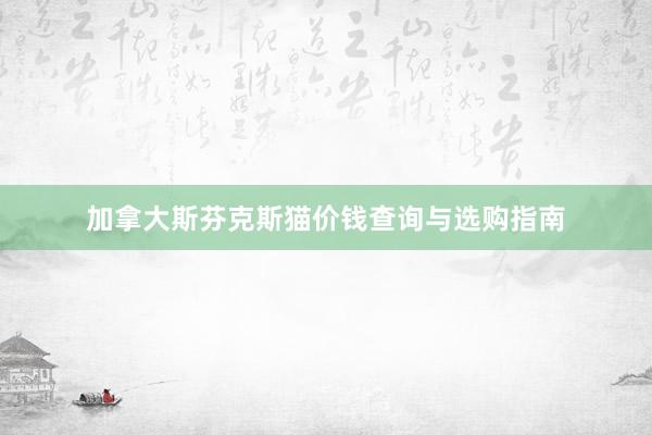 加拿大斯芬克斯猫价钱查询与选购指南