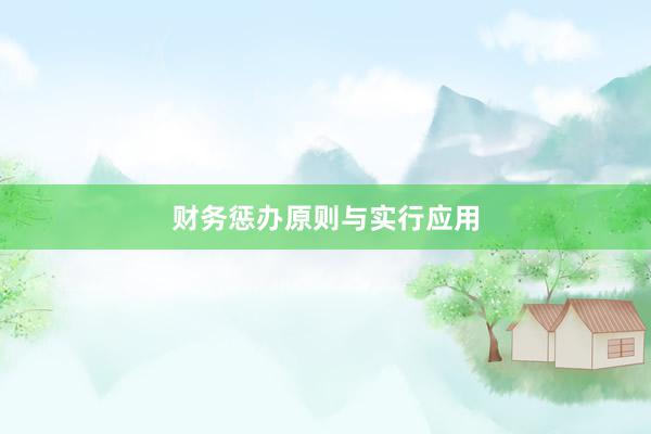 财务惩办原则与实行应用